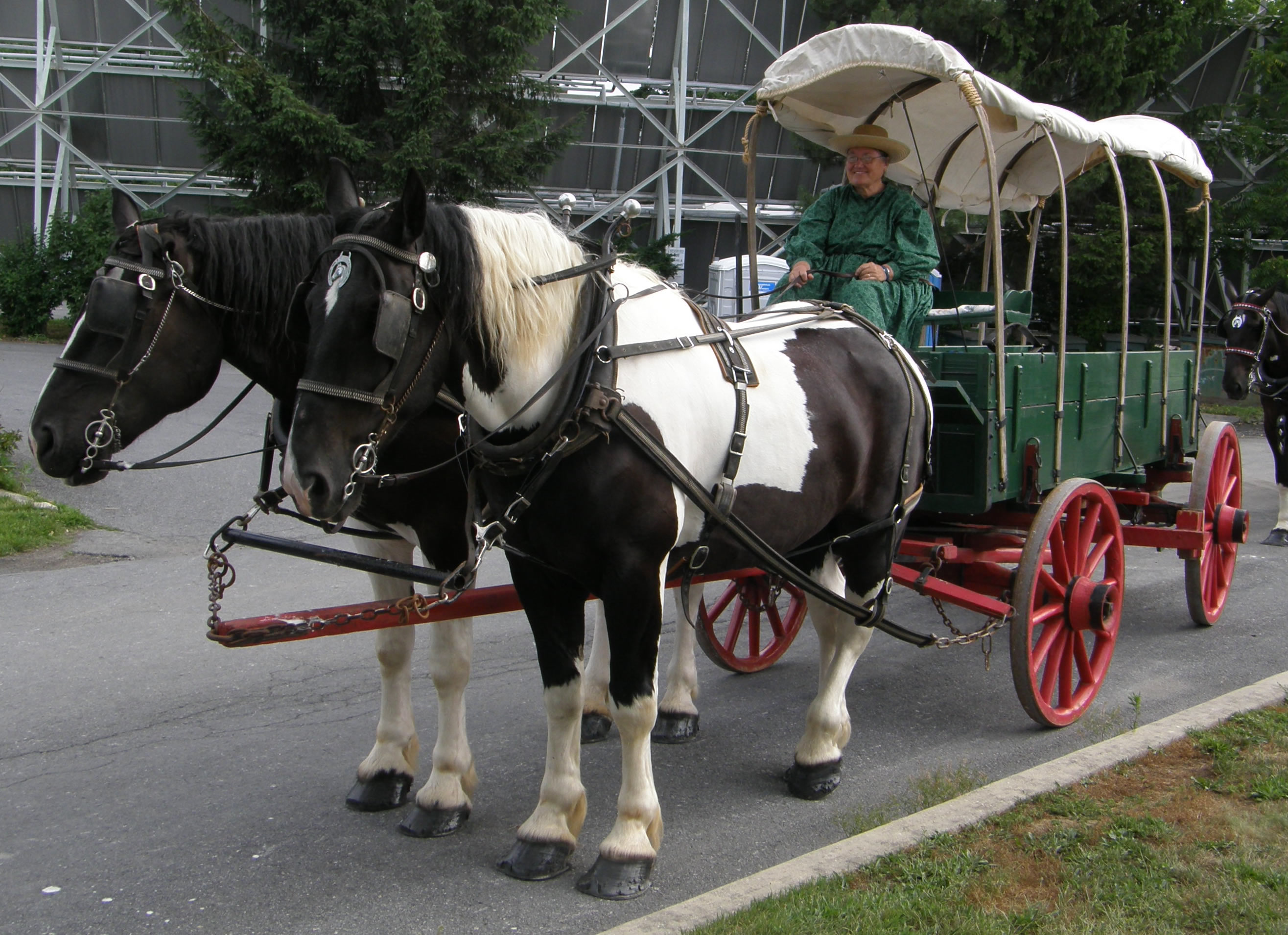 Benchfield Farms, Covered Wagon